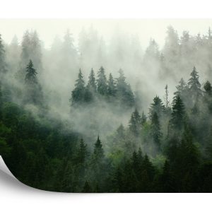 Papier Peint Forêt Dans Le Brouillard – Image 2