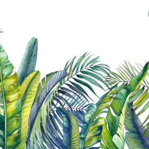 Papier Peint Plantes Tropicales Vertes Et Bleues – Image 1