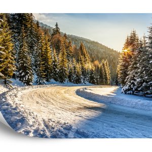 Papier Peint Forêt D'hiver – Image 2