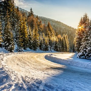 Papier Peint Forêt D'hiver – Image 1