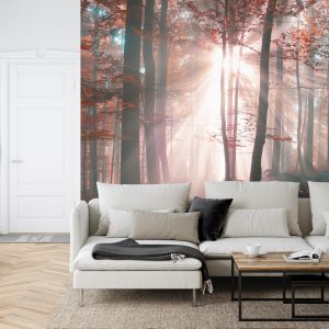 Papier Peint Couleurs D'automne De La Forêt – Image 6