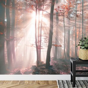 Papier Peint Couleurs D'automne De La Forêt – Image 7