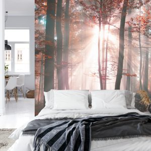 Papier Peint Couleurs D'automne De La Forêt – Image 8