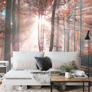 Papier Peint Couleurs D'automne De La Forêt – Image 3