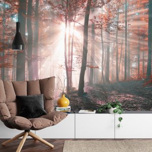 Papier Peint Couleurs D'automne De La Forêt – Image 4