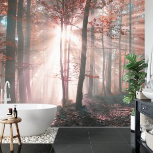 Papier Peint Couleurs D'automne De La Forêt – Image 5