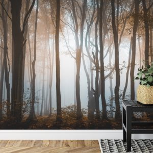 Papier Peint Arbres Forestiers – Image 7