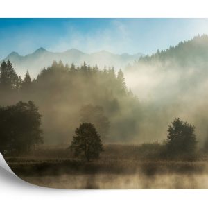 Papier Peint Forêt Dans Le Brouillard – Image 2