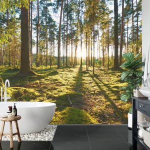 Papier Peint Forêt Coucher De Soleil – Image 5