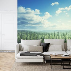 Papier Peint Forêt Arbres Ciel – Image 6