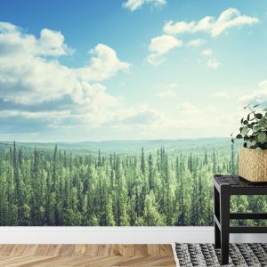 Papier Peint Forêt Arbres Ciel – Image 7