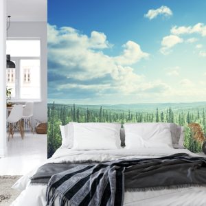 Papier Peint Forêt Arbres Ciel – Image 8