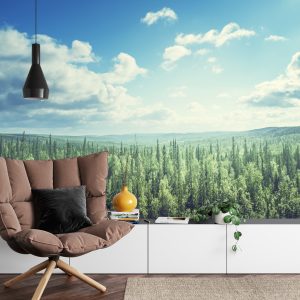 Papier Peint Forêt Arbres Ciel – Image 4