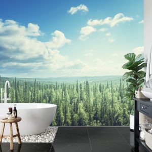 Papier Peint Forêt Arbres Ciel – Image 5