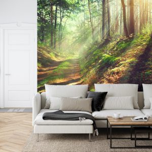 Papier Peint Forêt Nature – Image 6