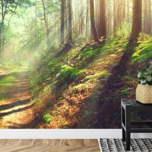 Papier Peint Forêt Nature – Image 7