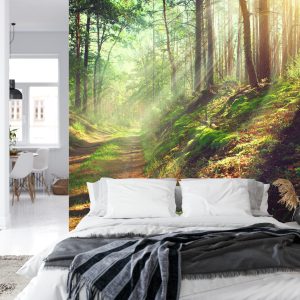 Papier Peint Forêt Nature – Image 8