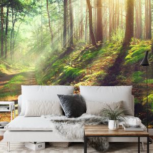 Papier Peint Forêt Nature – Image 3