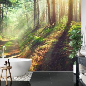 Papier Peint Forêt Nature – Image 5