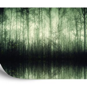 Papier Peint Forêt Arbres Eau – Image 2