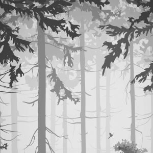 Papier Peint Arbres Forestiers – Image 1