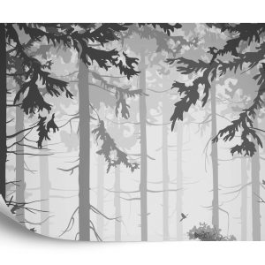 Papier Peint Arbres Forestiers – Image 2