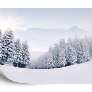 Papier Peint Forêt D'hiver – Image 2