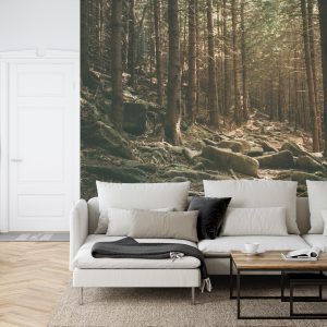 Papier Peint Forêt Arbres Pierres – Image 6