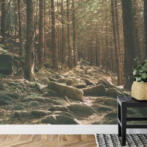 Papier Peint Forêt Arbres Pierres – Image 7