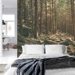 Papier Peint Forêt Arbres Pierres – Image 8