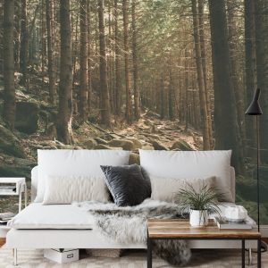 Papier Peint Forêt Arbres Pierres – Image 3