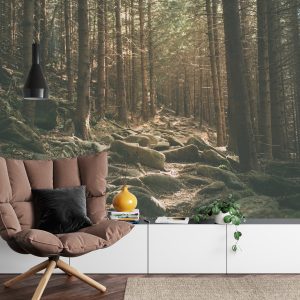 Papier Peint Forêt Arbres Pierres – Image 4