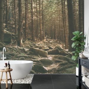 Papier Peint Forêt Arbres Pierres – Image 5