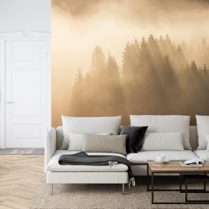 Papier Peint Forêt Dans Le Brouillard – Image 6