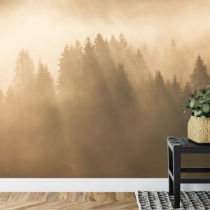 Papier Peint Forêt Dans Le Brouillard – Image 7