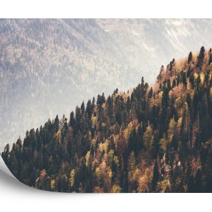 Papier Peint Forêt Montagnes – Image 2