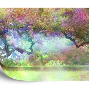 Papier Peint Forêt Colorée Magique – Image 2