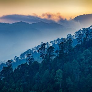 Papier Peint Montagnes Forestières – Image 1