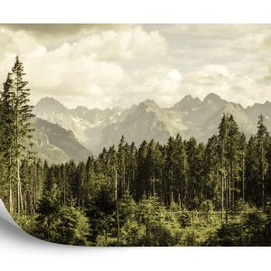 Papier Peint Montagnes Forestières – Image 2