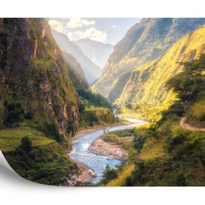 Papier Peint Forêt Montagnes – Image 2