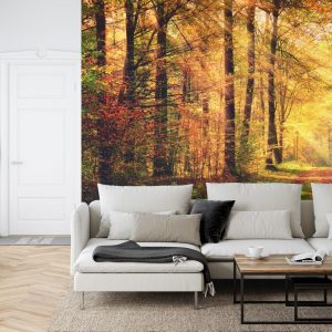Papier Peint Couleurs D'automne De La Forêt – Image 6