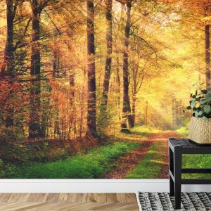 Papier Peint Couleurs D'automne De La Forêt – Image 7