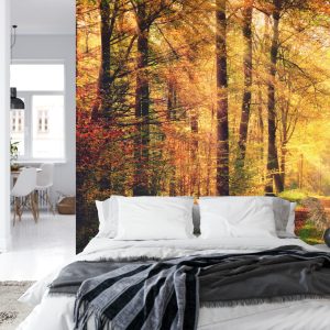 Papier Peint Couleurs D'automne De La Forêt – Image 8