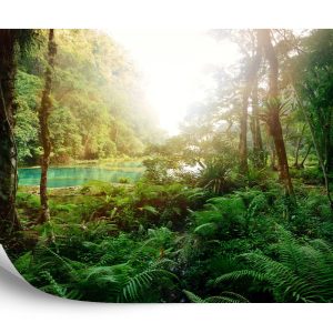 Papier Peint Forêt Arbres Eau – Image 2