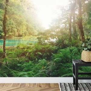 Papier Peint Forêt Arbres Eau – Image 7