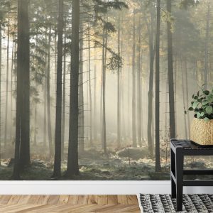 Papier Peint Forêt Arbres Brouillard – Image 7