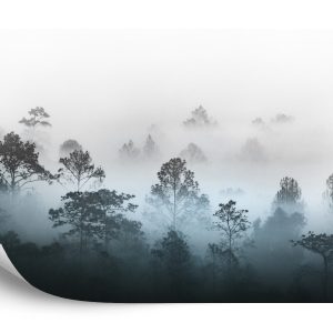 Papier Peint Forêt Dans Le Brouillard – Image 2