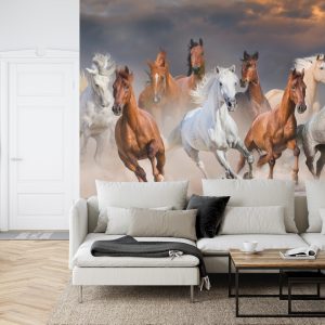 Papier Peint Troupeau De Chevaux Au Galop – Image 6