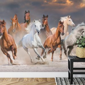 Papier Peint Troupeau De Chevaux Au Galop – Image 7