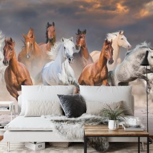 Papier Peint Troupeau De Chevaux Au Galop – Image 3